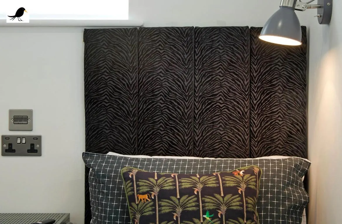 Blackbird Accommodation And Luxury Apartments Room 14 Blackpool